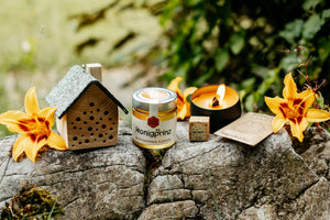 Nachhaltige Geschenkbox für Naturfreunde - perfekt für Kunden und Mitarbeiter.